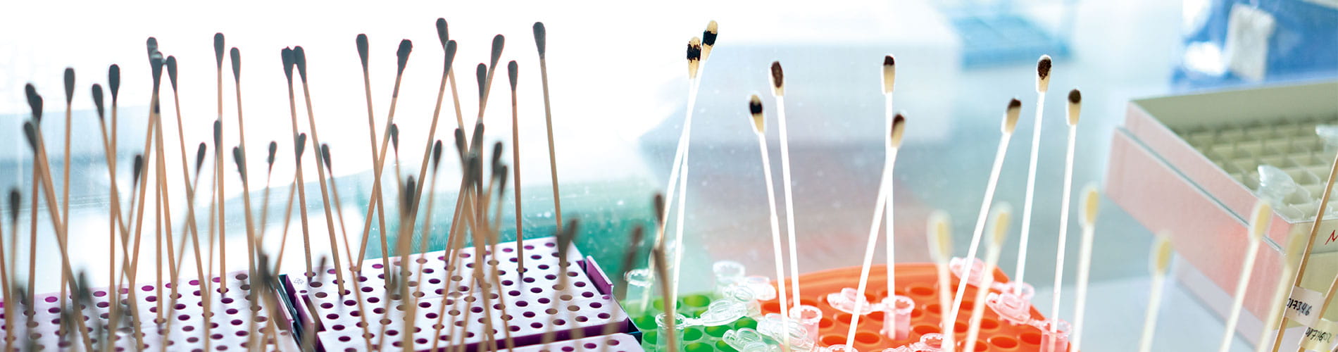 Using human microbiomes header picture